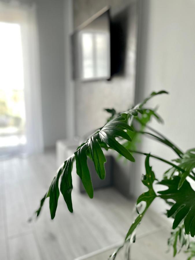 Ach, To Tu- Apartament Lancut Ngoại thất bức ảnh